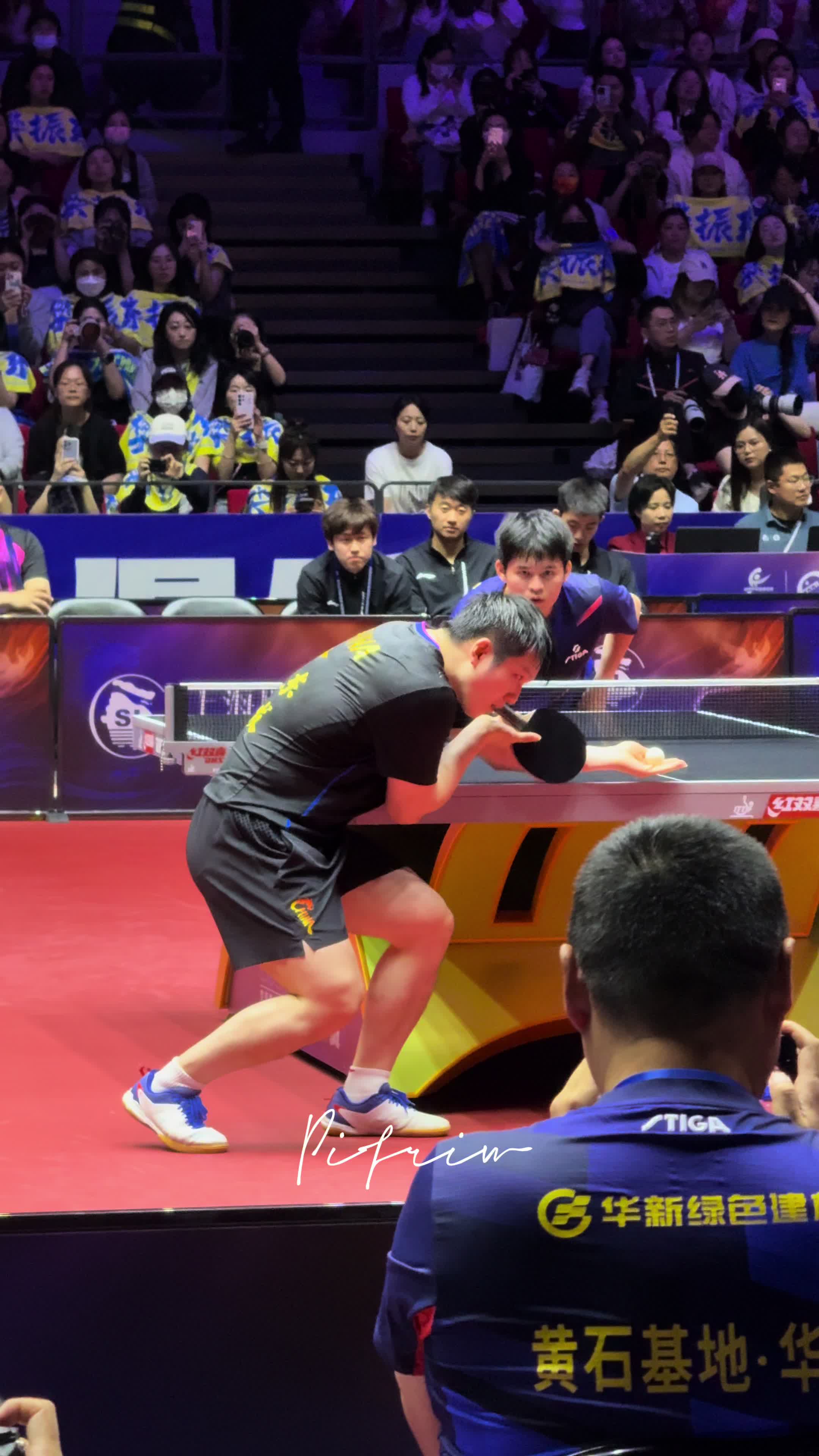关于比利时乒乓球队碾压英国乒乓球队,樊振东制霸全场的信息 关于比利时乒乓球队碾压英国乒乓球队,樊振东制霸全场的信息