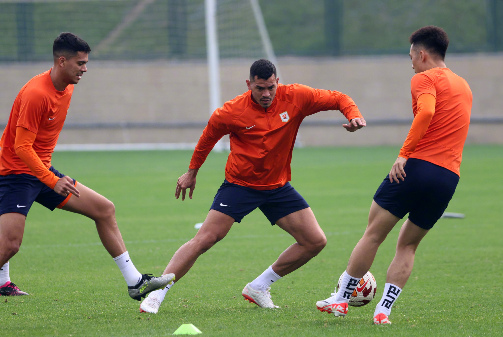 运动员多面手，横扫各项赛事的简单介绍